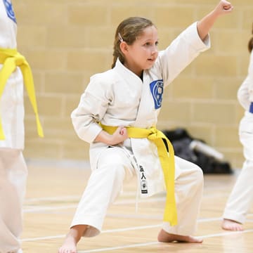 Ryushinkan Karate Training