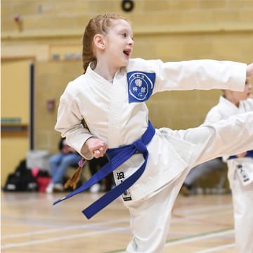 Ryushinkan Karate Training