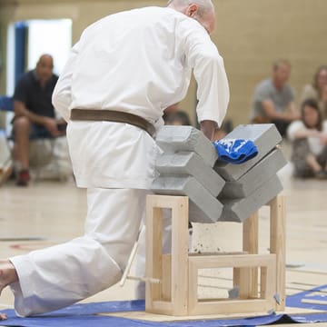 Ryushinkan Karate Training