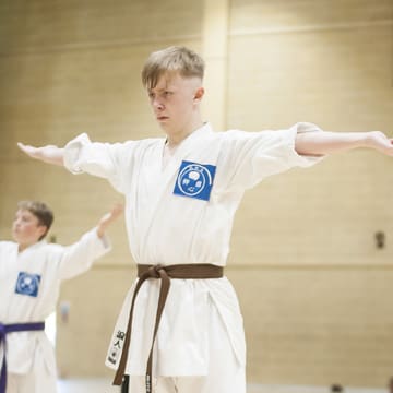 Ryushinkan Karate Training