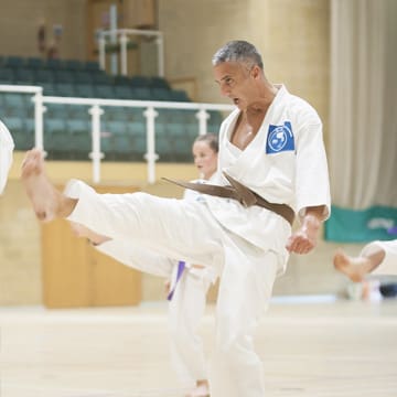 Ryushinkan Karate Training