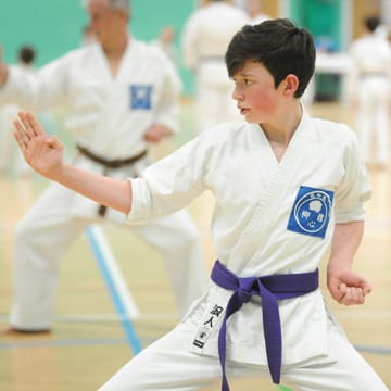 Ryushinkan Karate Training