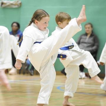 Ryushinkan Karate Training